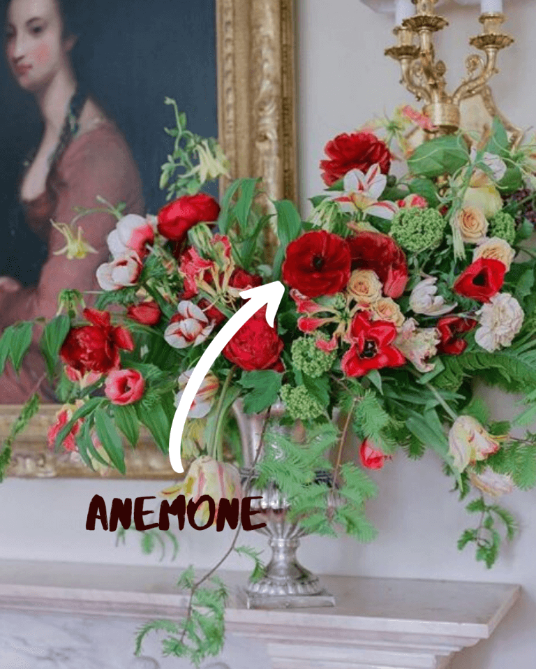 Here are The Best Flowers for Each Month of the Year Make Happy Memories