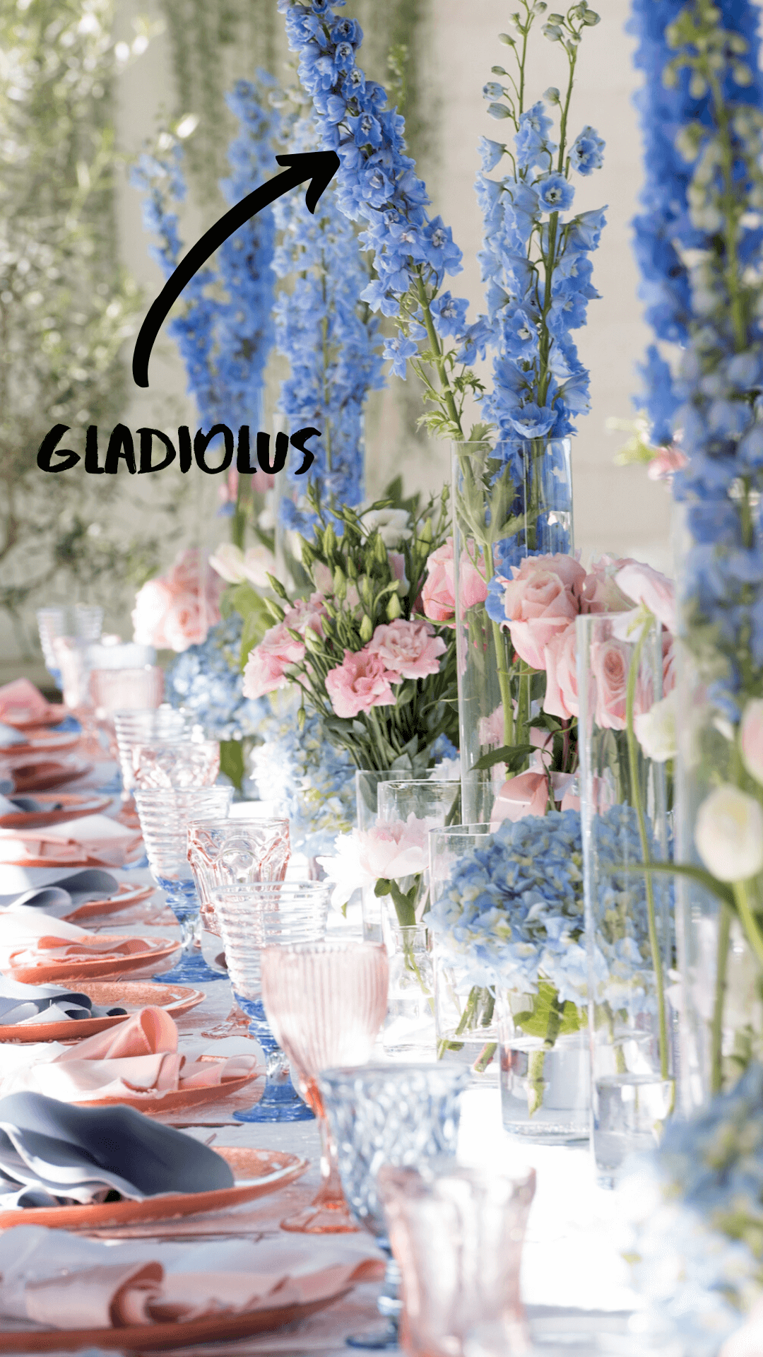 Here are The Best Flowers for Each Month of the Year Make Happy Memories