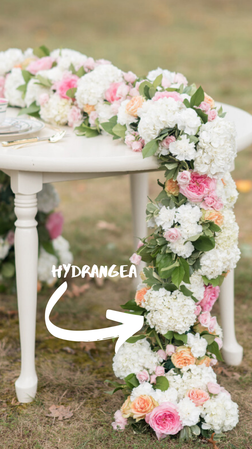 Here are The Best Flowers for Each Month of the Year Make Happy Memories