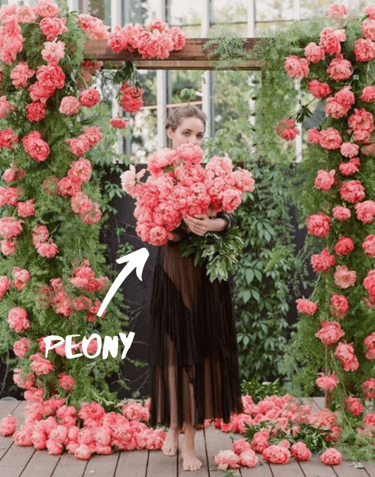 Here are The Best Flowers for Each Month of the Year Make Happy Memories