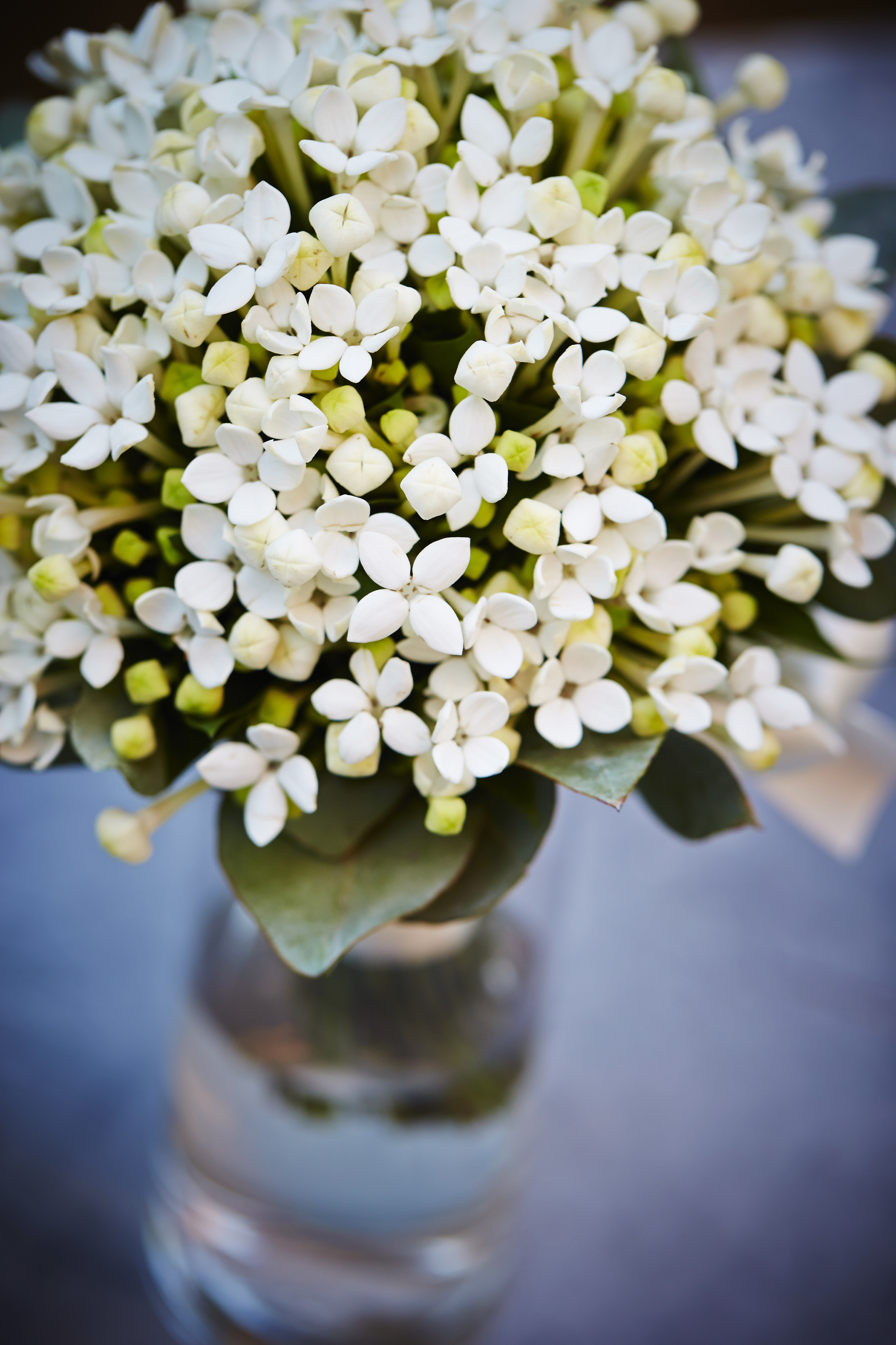 Lovely Bridal Bouquets - Make Happy Memories