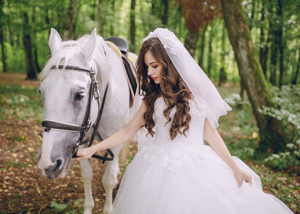 horse wedding transportation idea