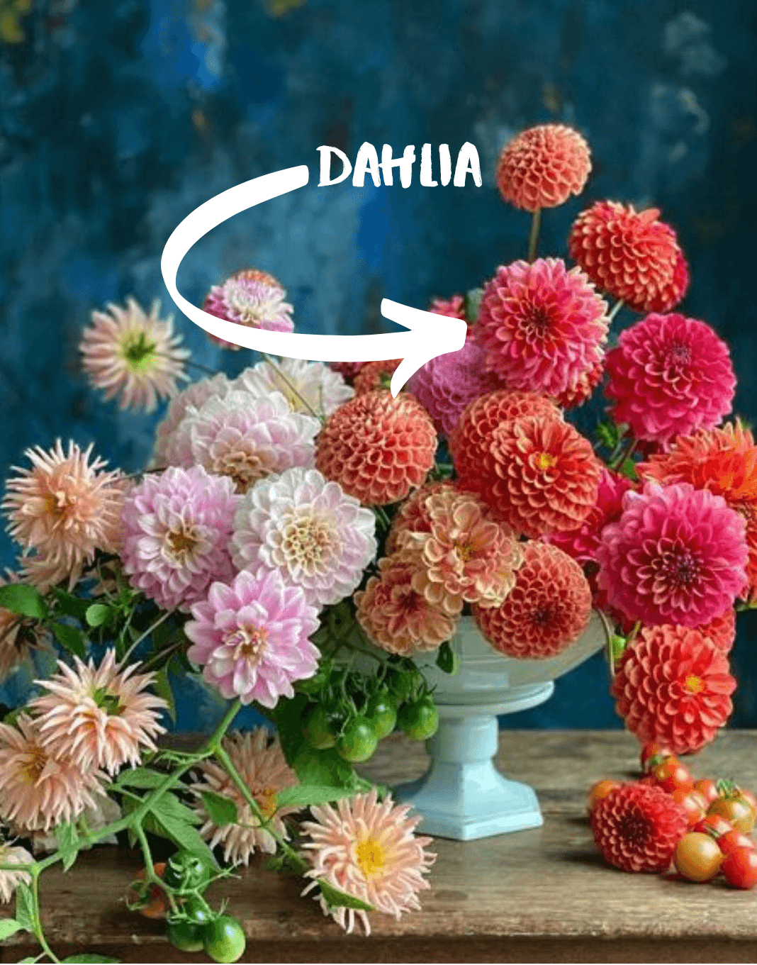 Here are The Best Flowers for Each Month of the Year Make Happy Memories